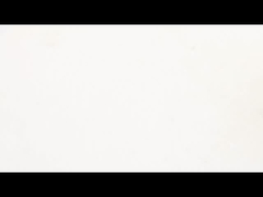 Thiết kế xếp chồng động cơ bước nhiều lớp E42 Hiệu suất nâng cao