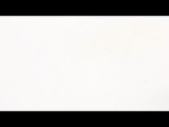 Động cơ bước trục vít bi NEMA 11 Sức mạnh của độ chính xác